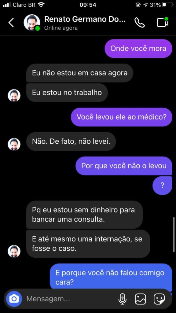 Protetores de animais denunciam que homem adota gatos e dias depois animais aparecem mortos