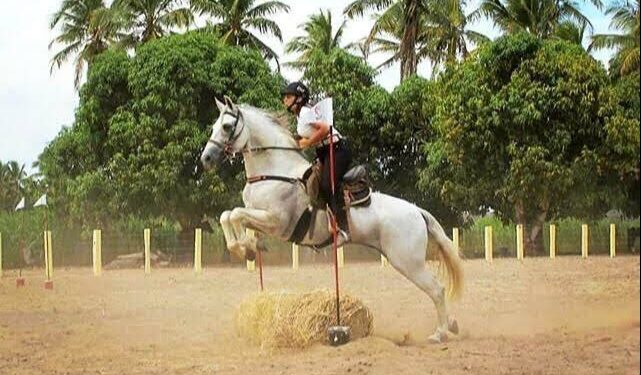 Governo do Estado realiza a 1ª Festa do Cavalo no Parque Aristófanes Fernandes