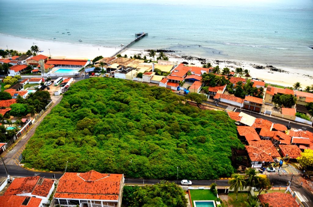 Semana Estadual do Meio Ambiente tem programação especial no Cajueiro de Pirangi