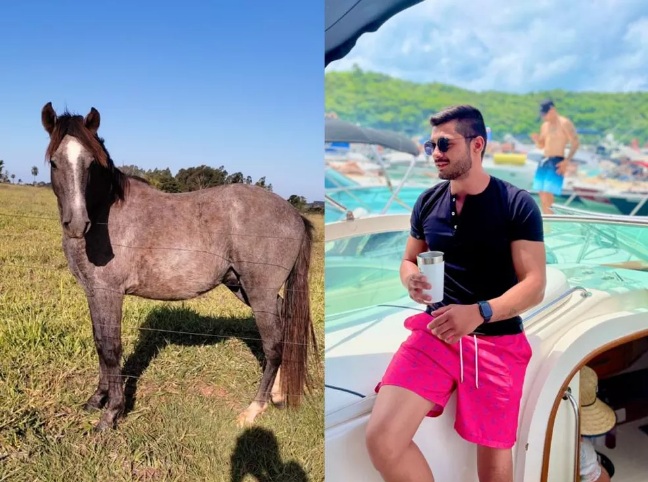 Bêbado, jovem compra cavalo em leilão e só descobre no outro dia: ‘Não sei cuidar do cachorro, imagina de cavalo’