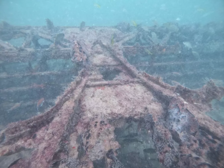 80 anos depois, avião americano que caiu durante a 2ª Guerra Mundial é encontrado no litoral do RN