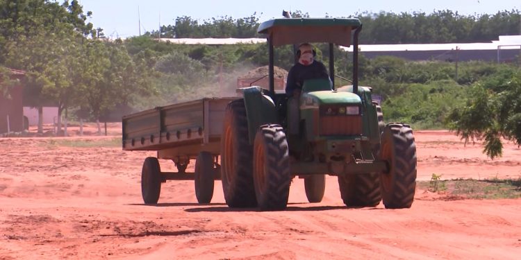 Fruticultura prevê queda na safra de 2022