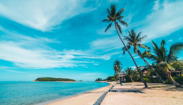 Homem mata turista que se masturbava em praia de nudismo olhando para sua mulher