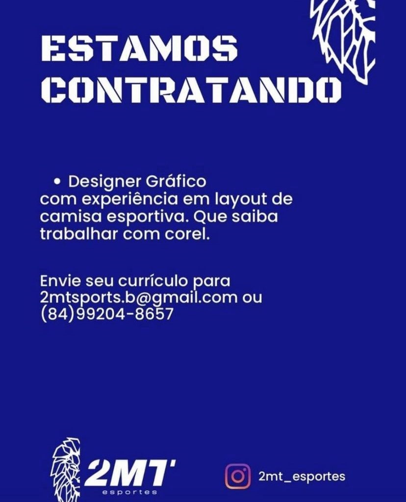 Designer Gráfico