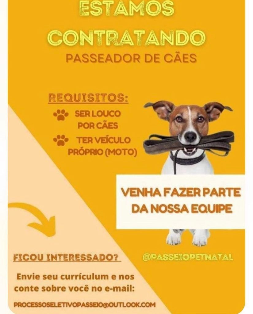 Passeador de Cães