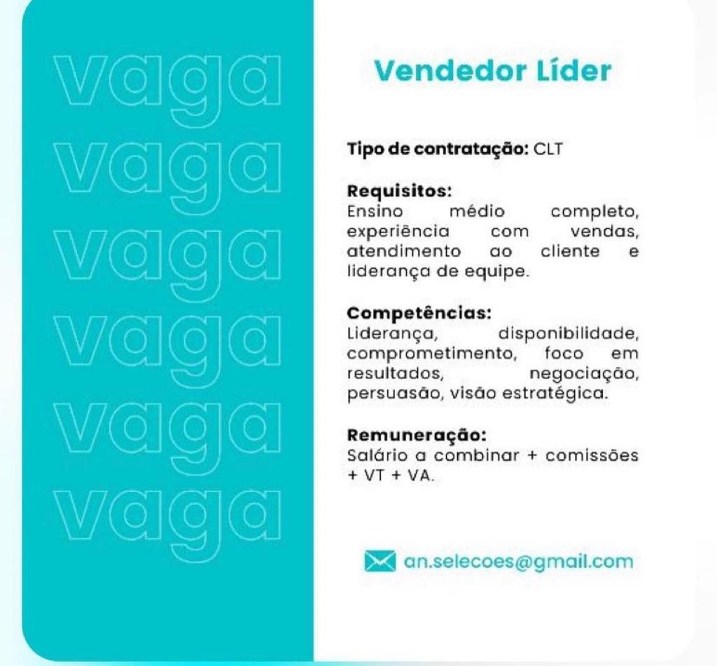 Vendedor Líder