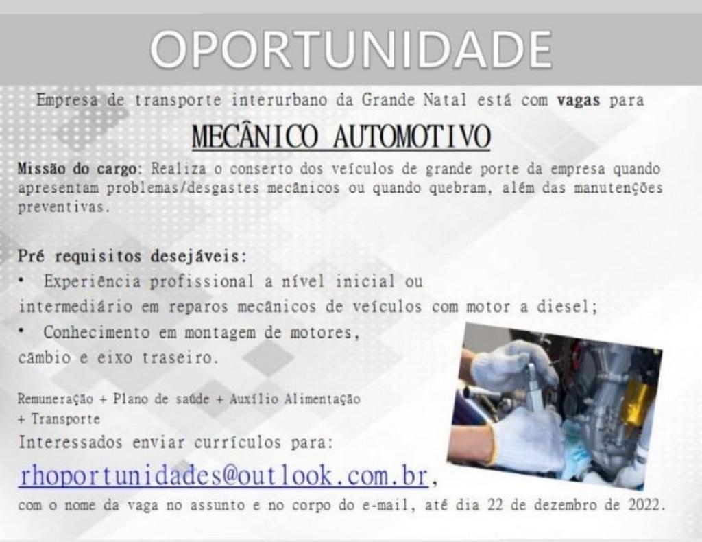 Mecânico Automotivo