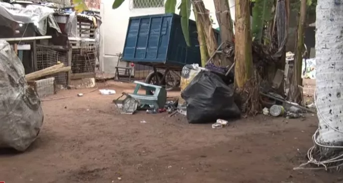 Dois irmãos são executados a tiros no quintal de casa em Natal