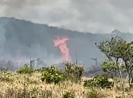 Incêndio atinge área do Parque da Cidade de Natal