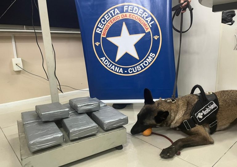 Receita Federal apreende 11 kg de cocaína no Porto de Natal; 3ª apreensão do ano